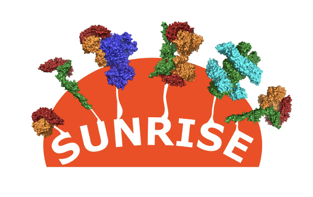 logo SUNRISE