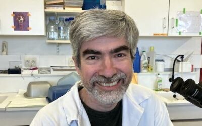 Séminaire externe Laurent YVERNOGEAU